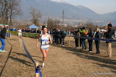 Clicca per vedere l'immagine alla massima grandezza