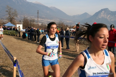 Clicca per vedere l'immagine alla massima grandezza