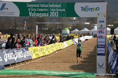 Clicca per vedere l'immagine alla massima grandezza
