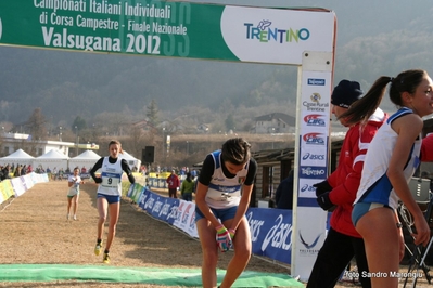 Clicca per vedere l'immagine alla massima grandezza