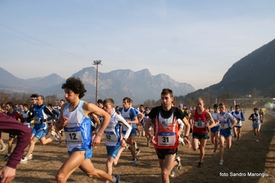 Clicca per vedere l'immagine alla massima grandezza