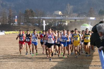 Clicca per vedere l'immagine alla massima grandezza