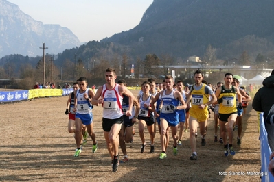 Clicca per vedere l'immagine alla massima grandezza