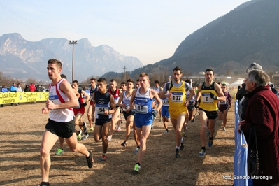 Clicca per vedere l'immagine alla massima grandezza