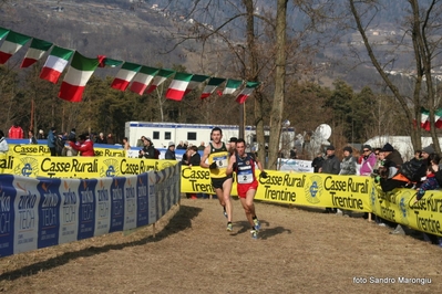 Clicca per vedere l'immagine alla massima grandezza