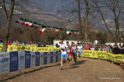 Clicca per vedere l'immagine alla massima grandezza