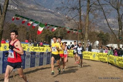 Clicca per vedere l'immagine alla massima grandezza