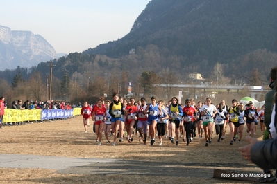 Clicca per vedere l'immagine alla massima grandezza