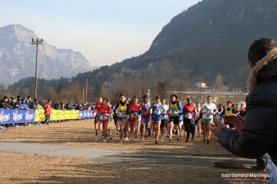 Clicca per vedere l'immagine alla massima grandezza