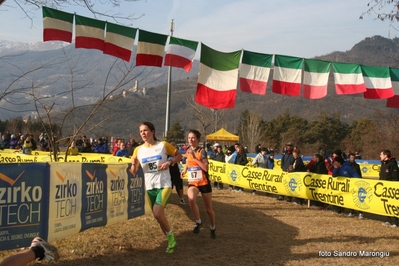 Clicca per vedere l'immagine alla massima grandezza