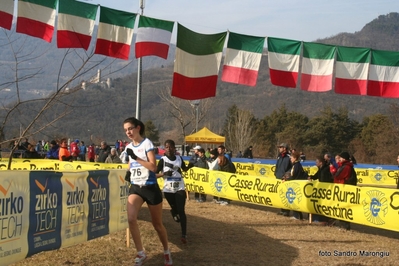 Clicca per vedere l'immagine alla massima grandezza