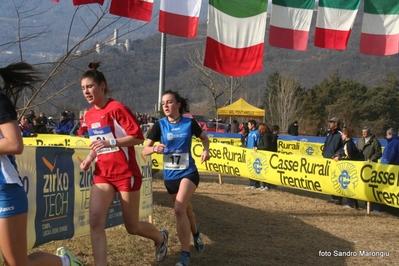 Clicca per vedere l'immagine alla massima grandezza