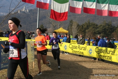 Clicca per vedere l'immagine alla massima grandezza
