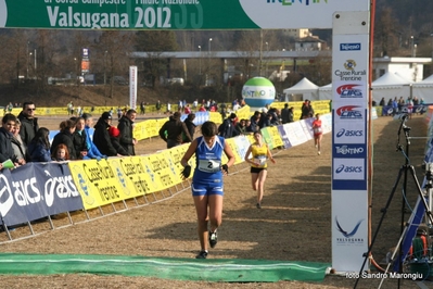 Clicca per vedere l'immagine alla massima grandezza