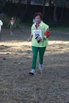 crc_381.jpg
