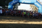 crc_424.jpg