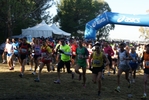 crc_431.jpg