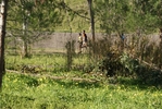 crc_455.jpg