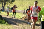 crc_567.jpg