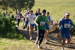 crc_593.jpg