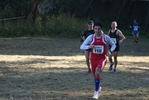 crc_950.jpg