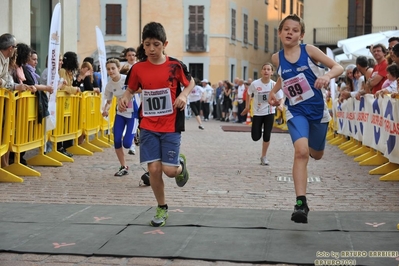 Clicca per vedere l'immagine alla massima grandezza