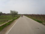 IMG_0231.jpg