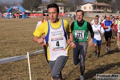 Clicca per vedere l'immagine alla massima grandezza