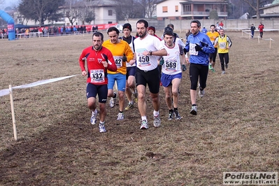Clicca per vedere l'immagine alla massima grandezza