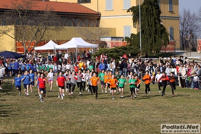 Clicca per vedere l'immagine alla massima grandezza
