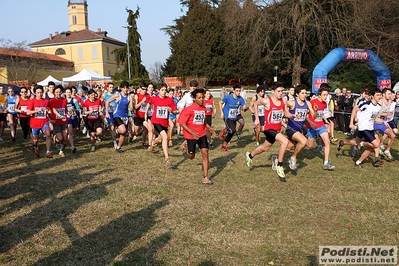 Clicca per vedere l'immagine alla massima grandezza