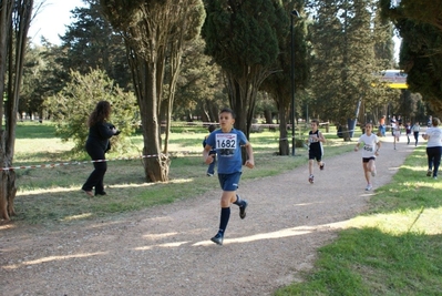 Clicca per vedere l'immagine alla massima grandezza