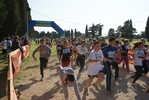 106.jpg