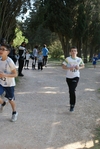 117.jpg