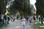 118.jpg