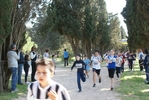 119.jpg