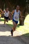 245.jpg