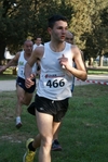 307.jpg