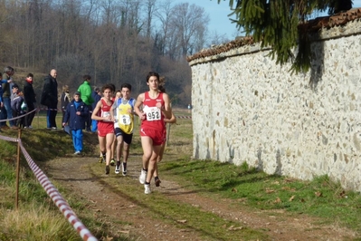 Clicca per vedere l'immagine alla massima grandezza