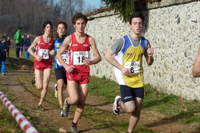 Clicca per vedere l'immagine alla massima grandezza