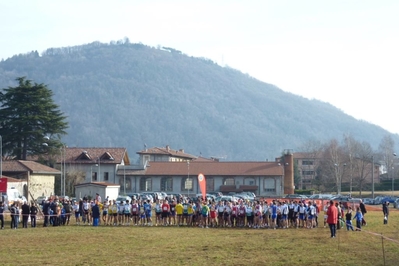 Clicca per vedere l'immagine alla massima grandezza