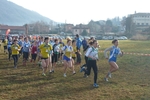 P1110419.jpg