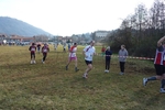 P1110513.jpg