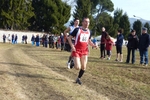 P1110545.jpg