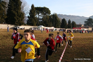 Clicca per vedere l'immagine alla massima grandezza