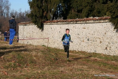 Clicca per vedere l'immagine alla massima grandezza