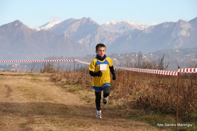 Clicca per vedere l'immagine alla massima grandezza