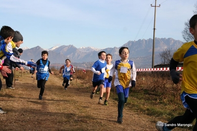 Clicca per vedere l'immagine alla massima grandezza