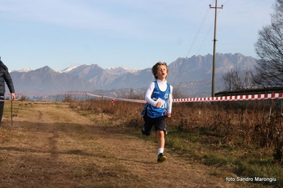 Clicca per vedere l'immagine alla massima grandezza