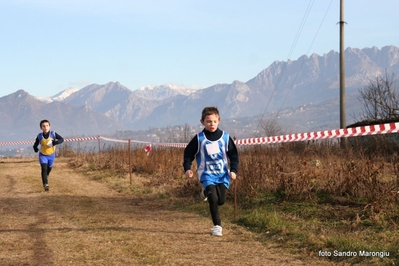 Clicca per vedere l'immagine alla massima grandezza